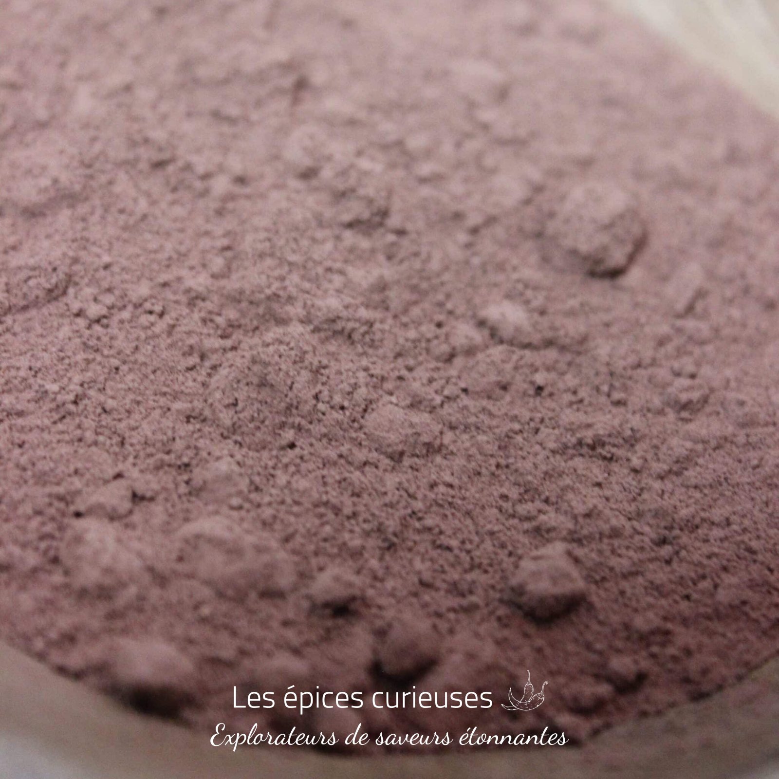 Cacao en poudre Criollo – Les Épices Curieuses Cacao en poudre Criollo - Les Épices Curieuses