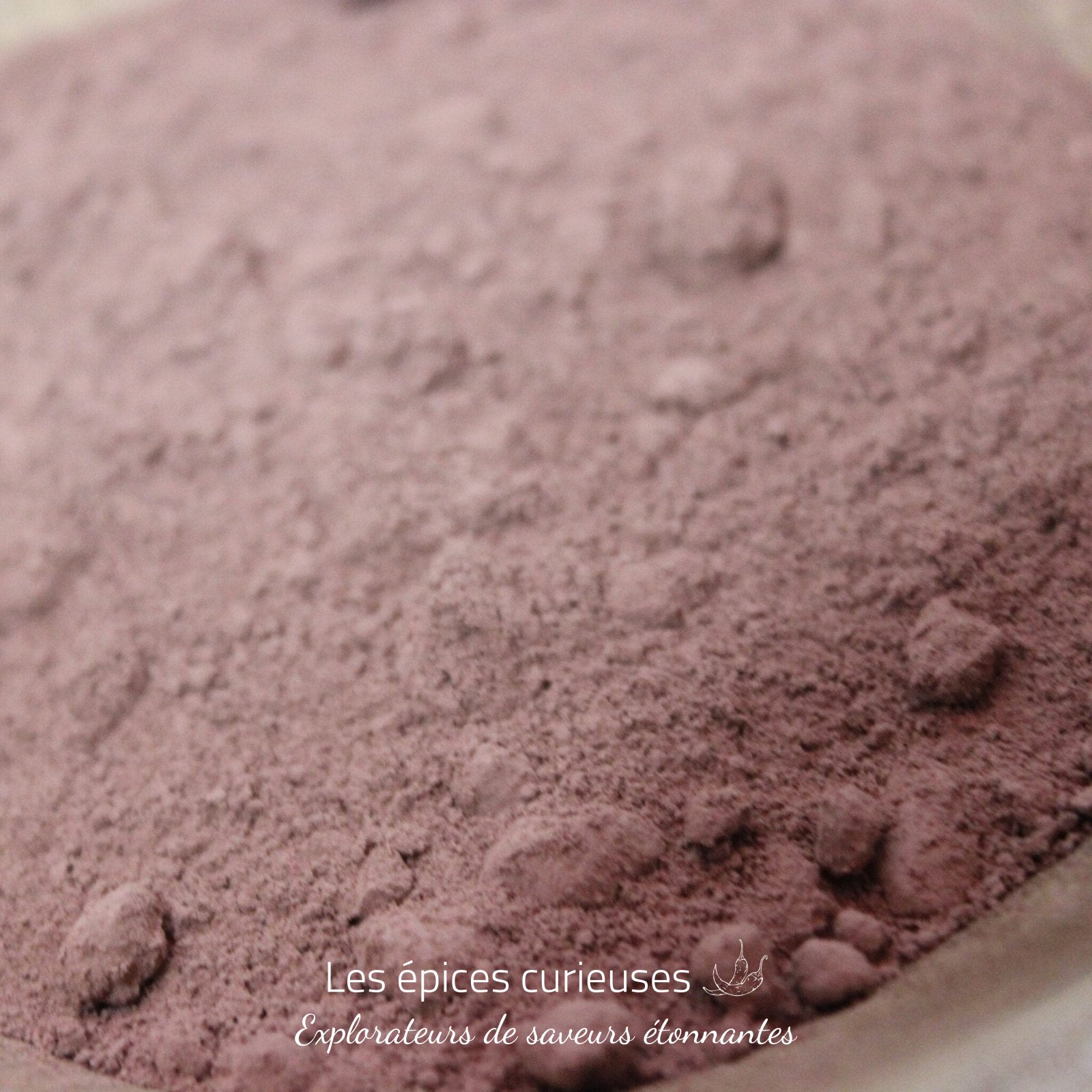 Cacao en poudre Criollo – Les Épices Curieuses Cacao en poudre Criollo - Les Épices Curieuses