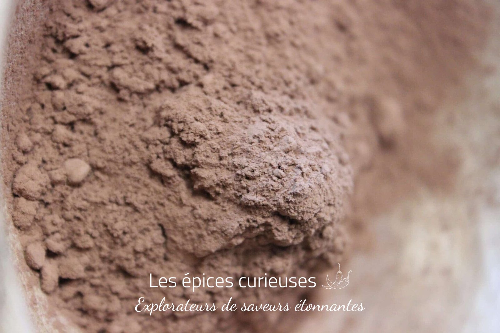 Cacao en poudre – Moulu et Grillé – Les Épices Curieuses Cacao en poudre - Moulu et Grillé - Les Épices Curieuses