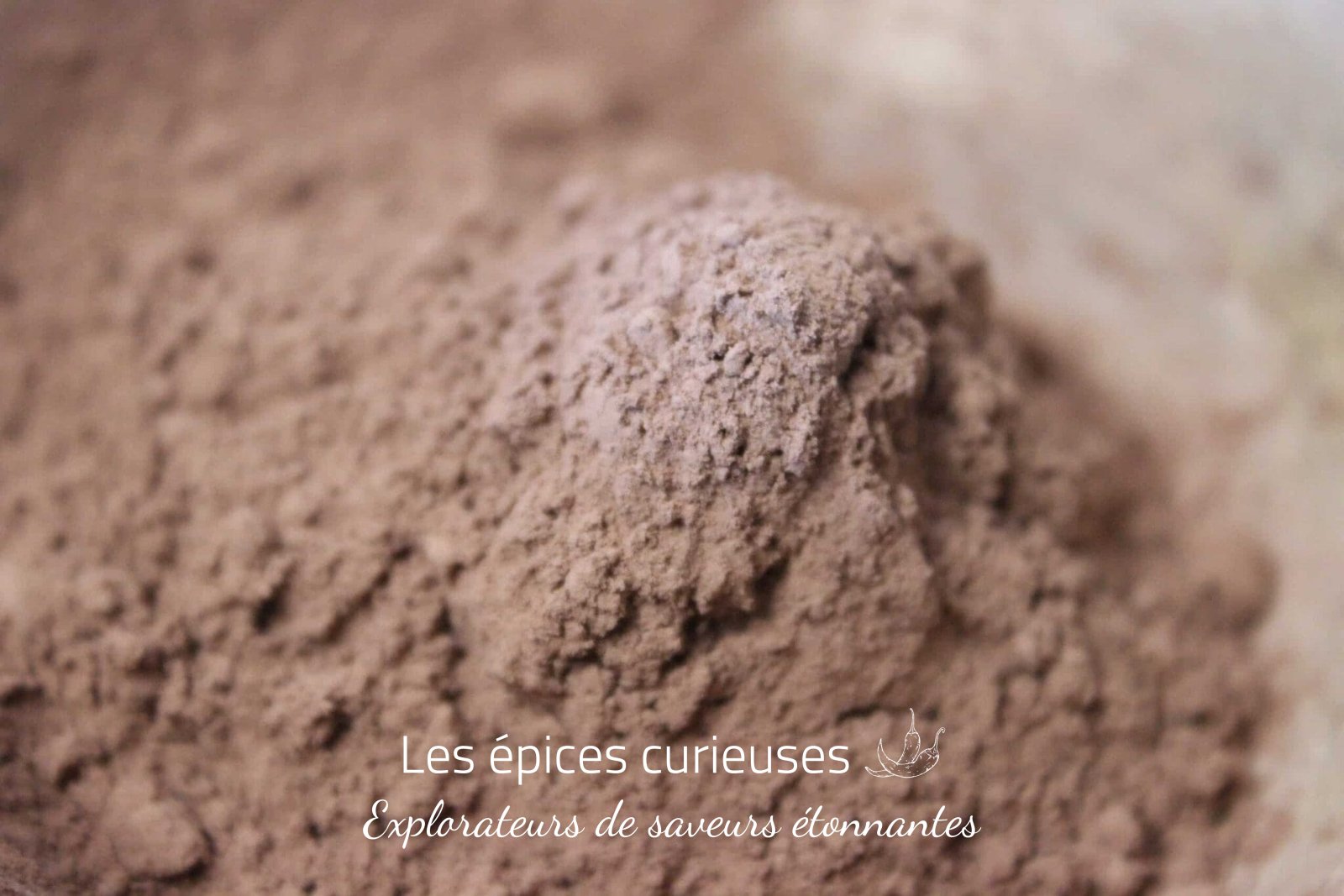 Cacao en poudre – Moulu et Grillé – Les Épices Curieuses Cacao en poudre - Moulu et Grillé - Les Épices Curieuses