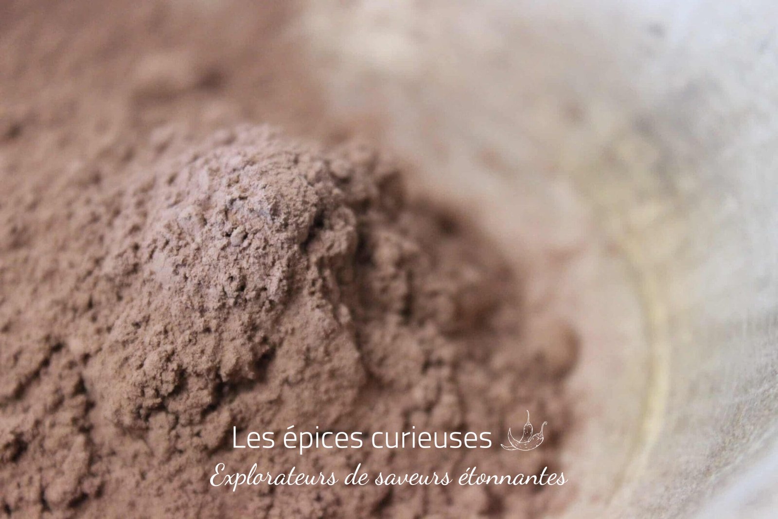 Cacao en poudre – Moulu et Grillé – Les Épices Curieuses Cacao en poudre - Moulu et Grillé - Les Épices Curieuses