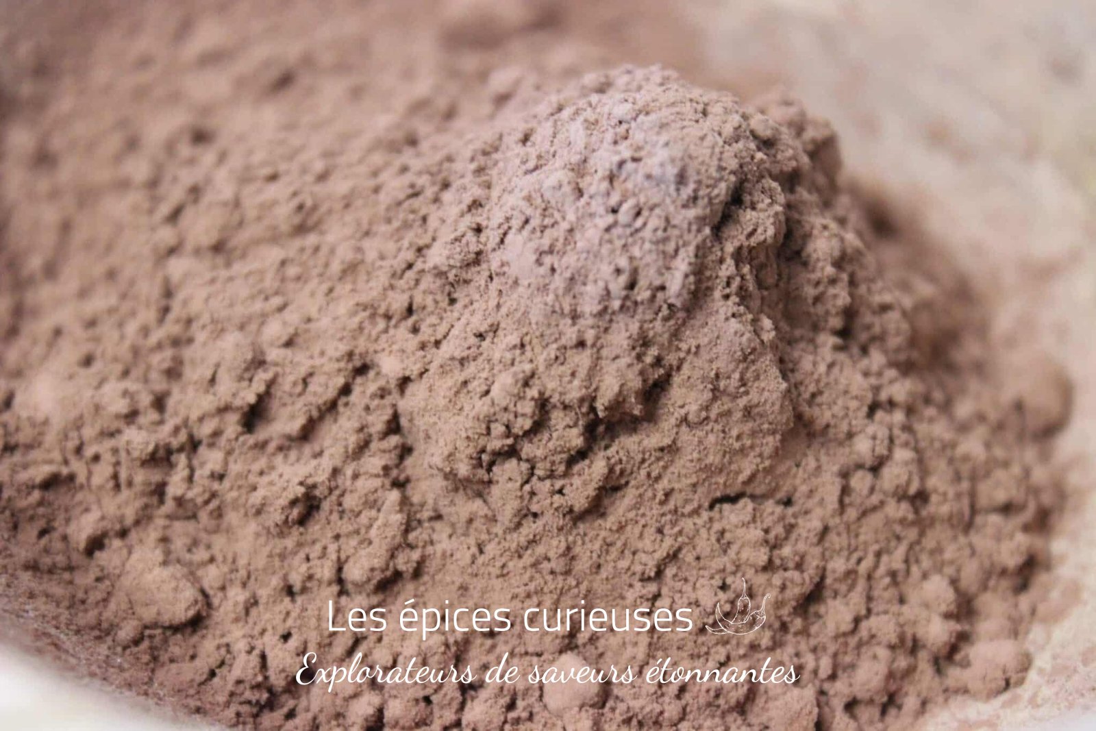 Cacao en poudre – Moulu et Grillé – Les Épices Curieuses Cacao en poudre - Moulu et Grillé - Les Épices Curieuses