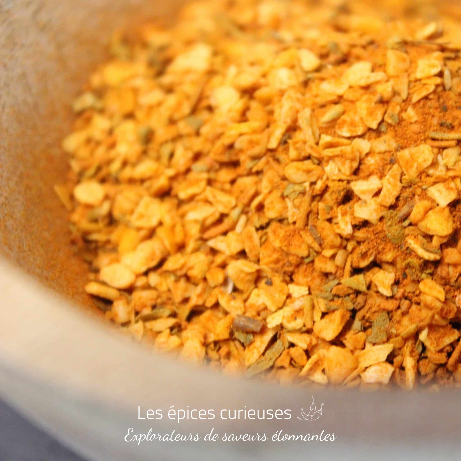 Courges et potiron – Les Épices Curieuses Courges et potiron - Les Épices Curieuses