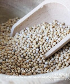 Graines de moutarde Jaune - Les Épices Curieuses