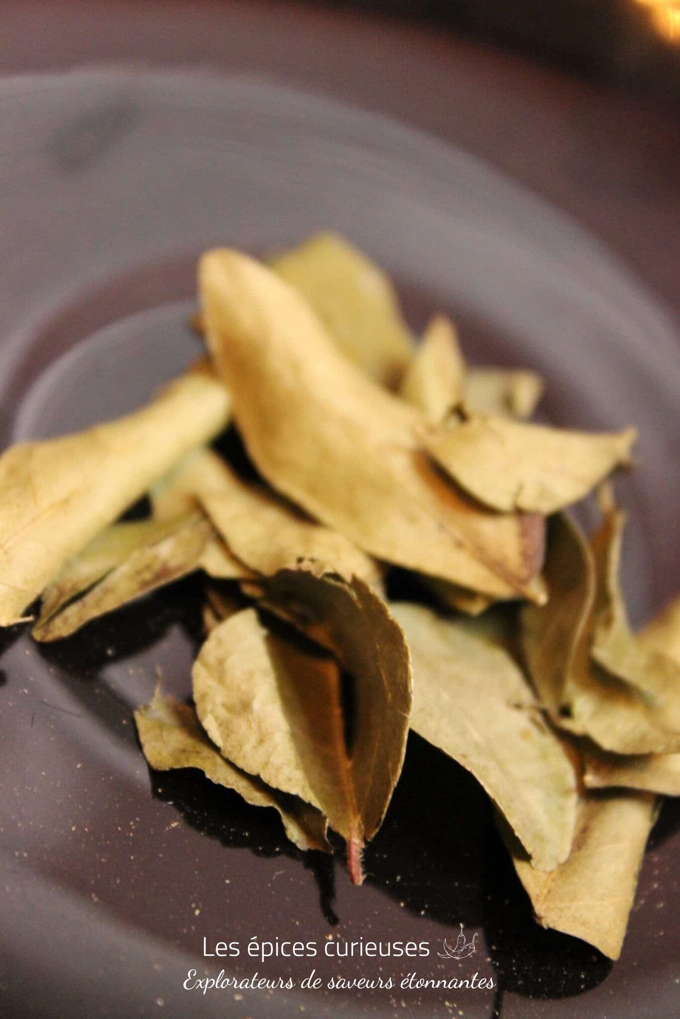Kaloupilé ou Feuilles de curry en feuille entière – Les Épices Curieuses Kaloupilé ou Feuilles de curry en feuille entière - Les Épices Curieuses