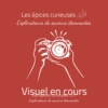 Poisson au four - Les Épices Curieuses