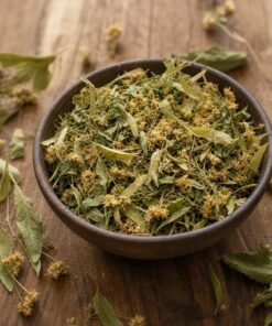 Infusion des Jardins du Midi - Les Épices Curieuses